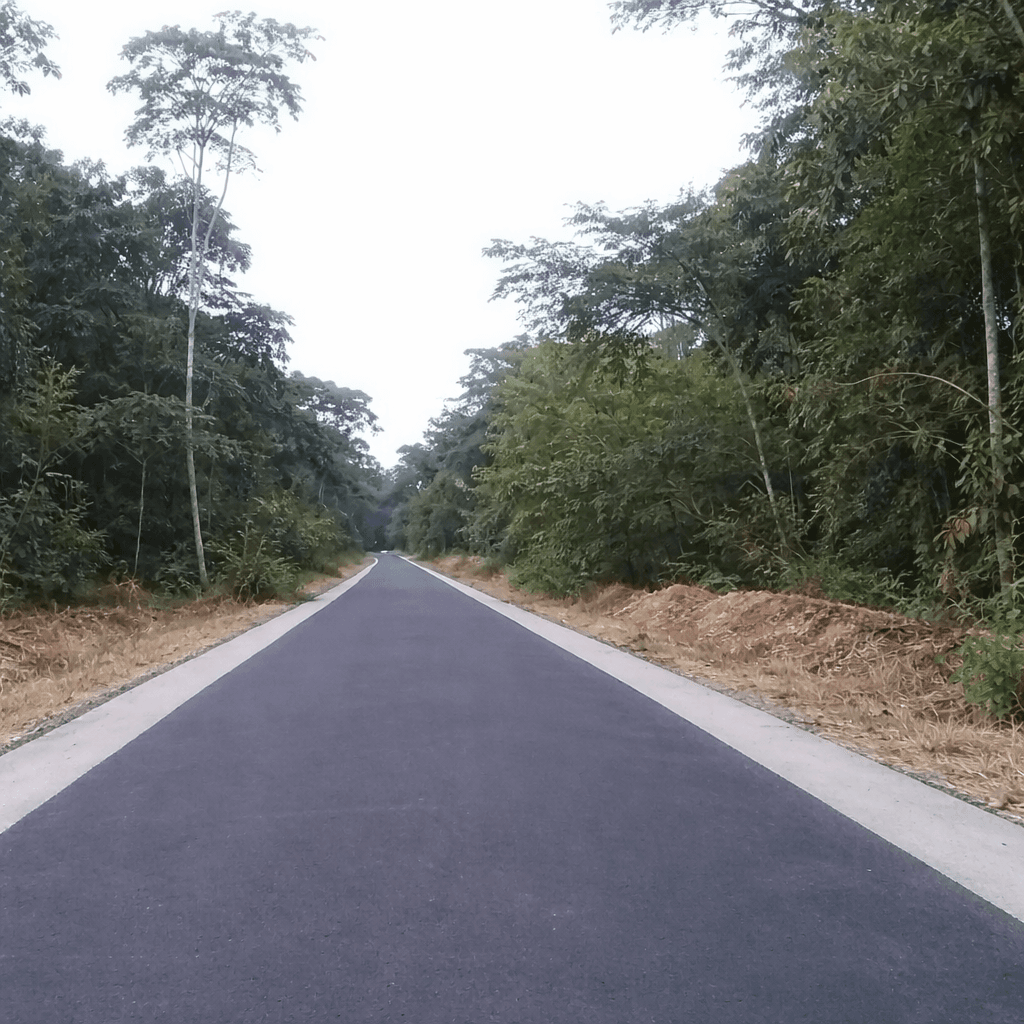 Road construction project in Rivers State